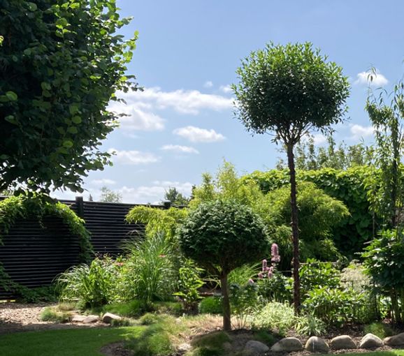 Lavendel - klokkeblomst af en slags???